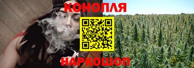 крисы Комсомольск-на-Амуре