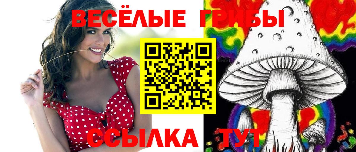 дарнет шоп  Галлюциногенные грибы Psilocybe  Вход с VPN  Железногорск 