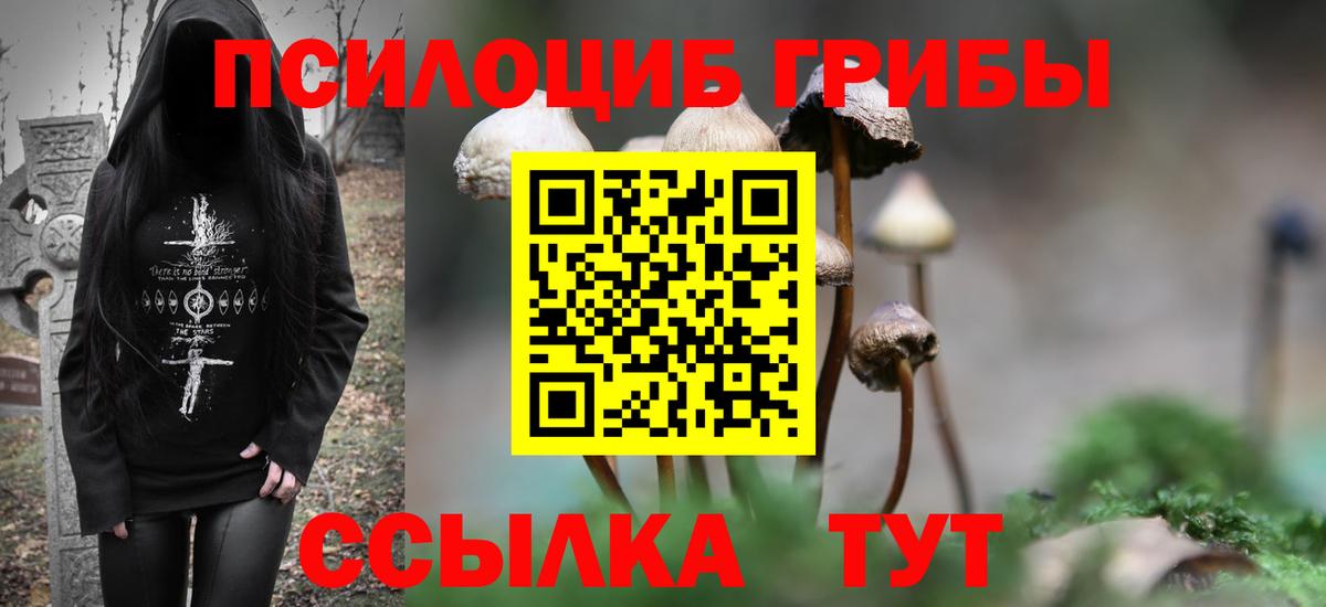 Псилоцибиновые грибы ЛСД Железногорск